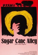 Sugar Cane Alley poster image