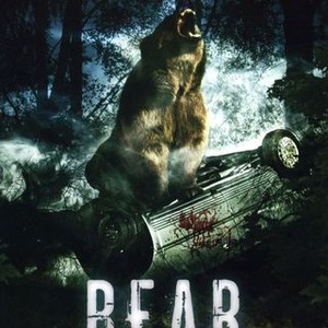 Bear photo 8