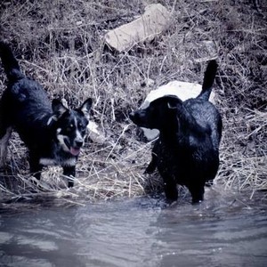 Skinwalker Ranch photo 4