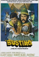 Busting poster image
