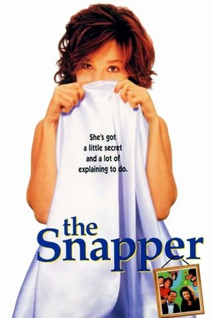 The Snapper poster