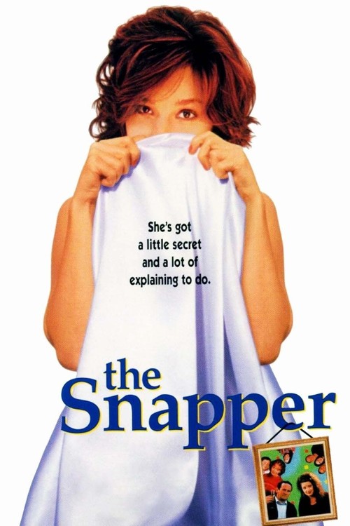 The Snapper poster