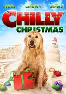 Chilly Christmas poster image