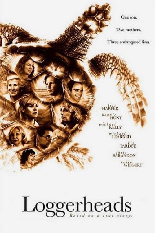 Loggerheads poster