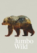 Jumbo Wild poster image