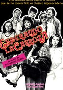 Esperando la carroza poster image