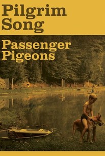 Pilgrim Song poster