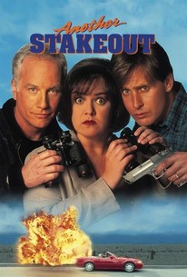 Another Stakeout poster