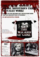 The Wizard of Gore poster image