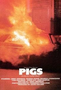 Watch trailer for Pigs