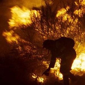 Fire Will Come photo 2