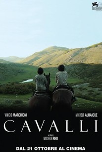 Cavalli (Horses)
