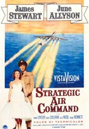 Strategic Air Command poster image