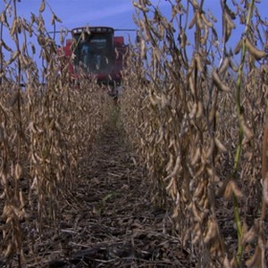 Harvesting soybeans in "Food, Inc." photo 20