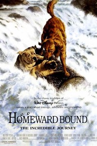 Homeward Bound: The Incredible Journey
