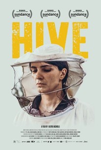 Watch trailer for Hive
