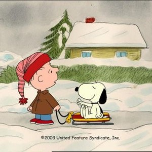 I Want a Dog for Christmas, Charlie Brown!, Bill Melendez, 12/09/2003, ©ABC