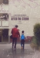 After the Storm poster image