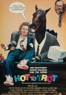 Hot to Trot poster image