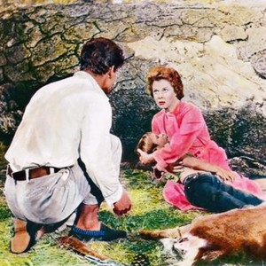WOMAN OBSESSED, Stephen Boyd (back to camera), Dennis Holmes (on ground), Susan Hayward, 1959, TM & © 20th Century Fox Film Corp.