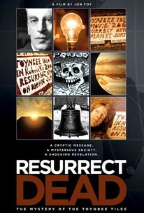 Resurrect Dead: The Mystery of the Toynbee Tiles (2011) - Rotten Tomatoes