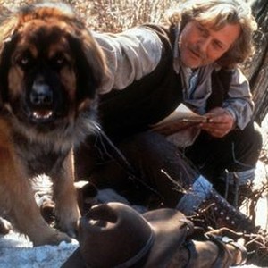 The Call of the Wild: Dog of the Yukon (1997) photo 6