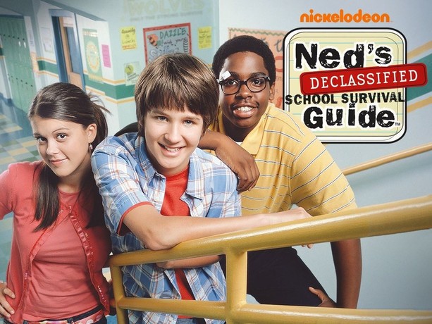 neds declassified school survival guide cookie