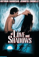 Of Love and Shadows poster image