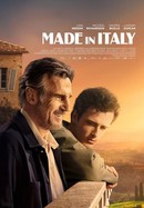 Made in Italy poster image