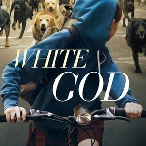 White God photo 15