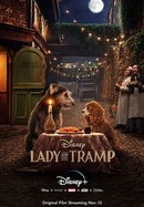 Lady and the Tramp poster image