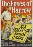 The Foxes of Harrow poster image