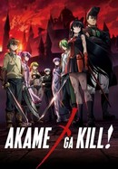 Akame Ga Kill poster image
