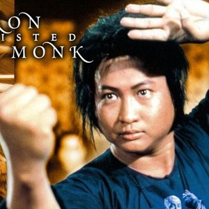 The Iron-Fisted Monk photo 5