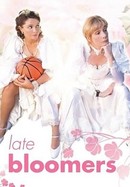 Late Bloomers poster image