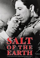 Salt of the Earth poster image