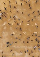 Human Flow poster image