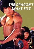 The Dragon's Snake Fist poster image