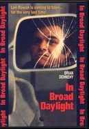In Broad Daylight poster image