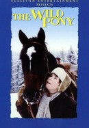 The Wild Pony poster image