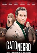 Gato negro poster image