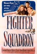 Fighter Squadron poster image