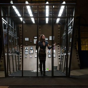 FANatic (2017)