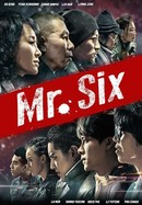Mr. Six poster image