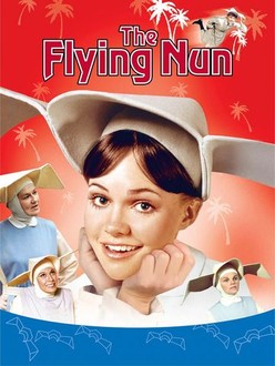 その他 The Flying Nun: Under a Spell [VHS] [Import] The Flying Nun | Rotten Tomatoes