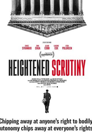 Heightened Scrutiny poster