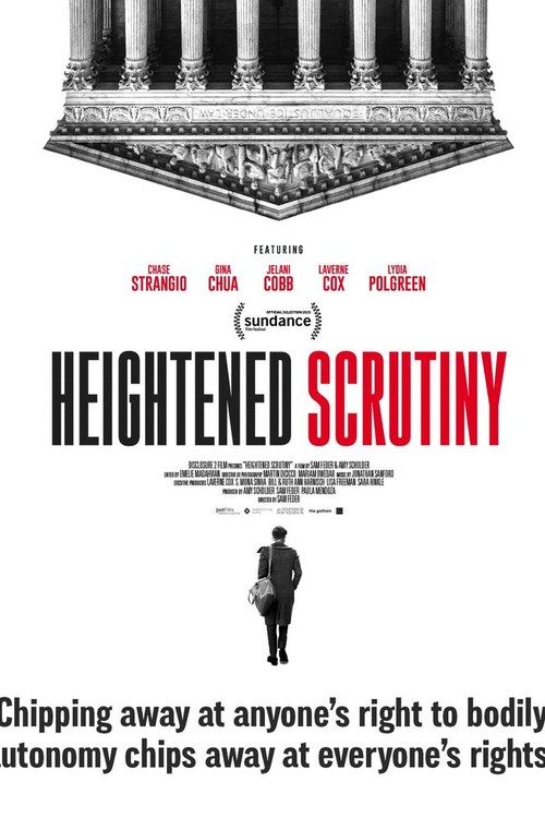 Heightened Scrutiny poster