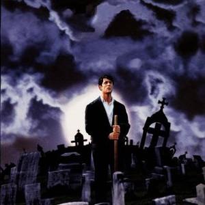 "Cemetery Man photo 11"