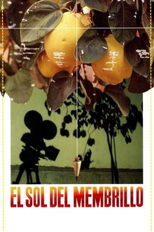 マルメロの陽光 El sol del membrillo DVD Amazon.co.jp: El Sur - El Sol Del Membrillo : DVD