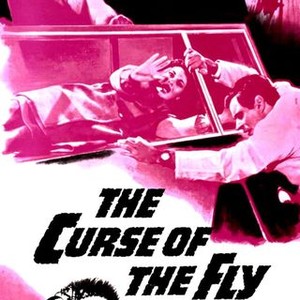 The Curse of the Fly photo 5